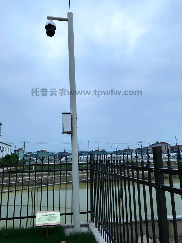 生態(tài)遠(yuǎn)程實時監(jiān)控系統(tǒng)