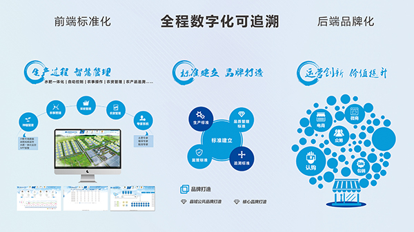 農(nóng)產(chǎn)銷(xiāo)售——產(chǎn)供銷(xiāo)一體化