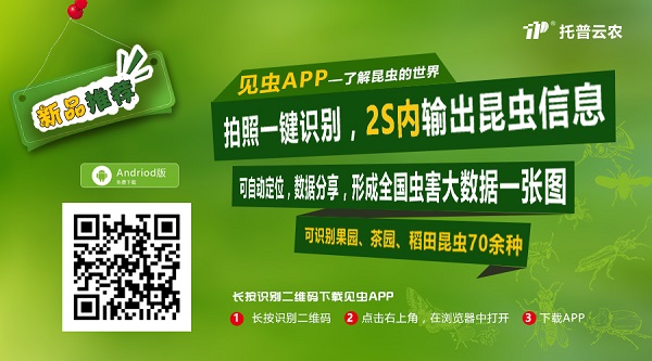 農(nóng)業(yè)技術(shù)——見(jiàn)蟲(chóng)APP
