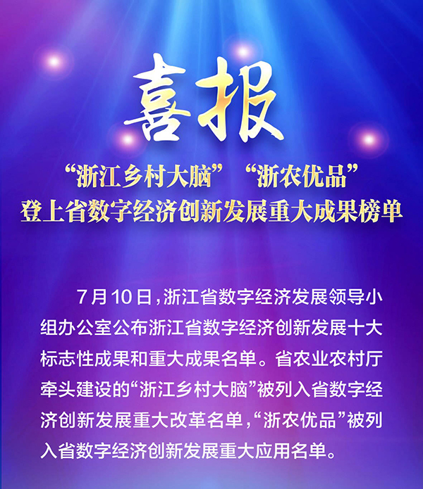 喜報！“浙江鄉(xiāng)村大腦”登上省數(shù)字經(jīng)濟創(chuàng)新發(fā)展重大成果榜單